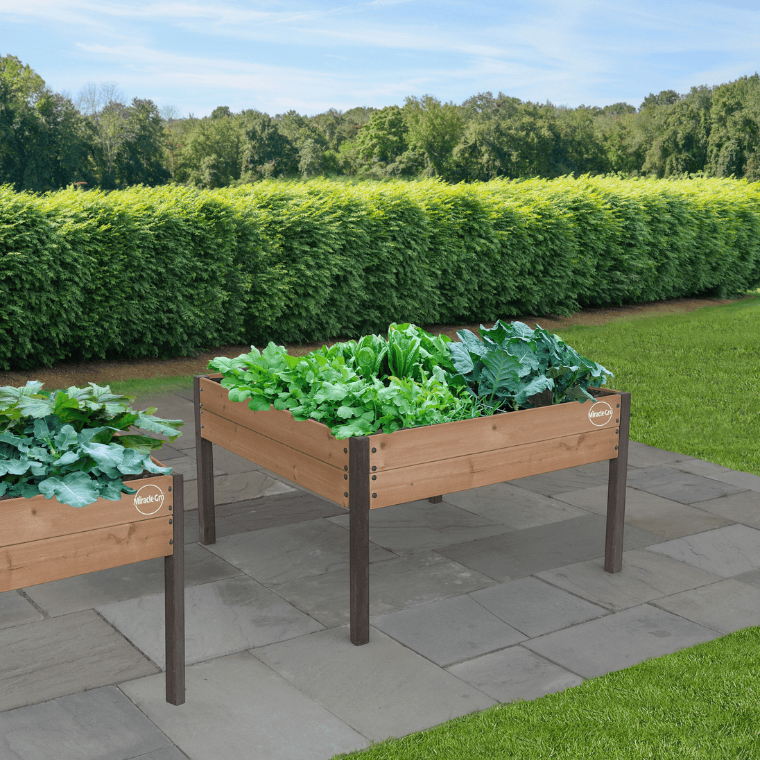 Miracle-Gro Wood 4 x 4 x 2.3 ft. Raised Garden Planter
