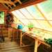 Sunhouses | Red Cedar Greenhouses for Sale