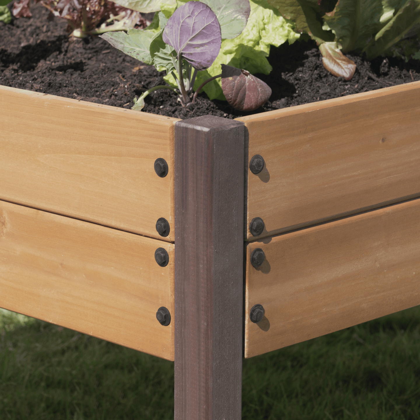 Miracle-Gro Wood 2 x 4 x 2.3 ft Raised Garden Planter with Shelf